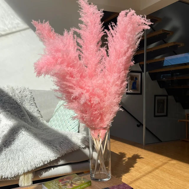 Pluma Herbe de la Pampa Séchée Décoration Naturelle Tendance